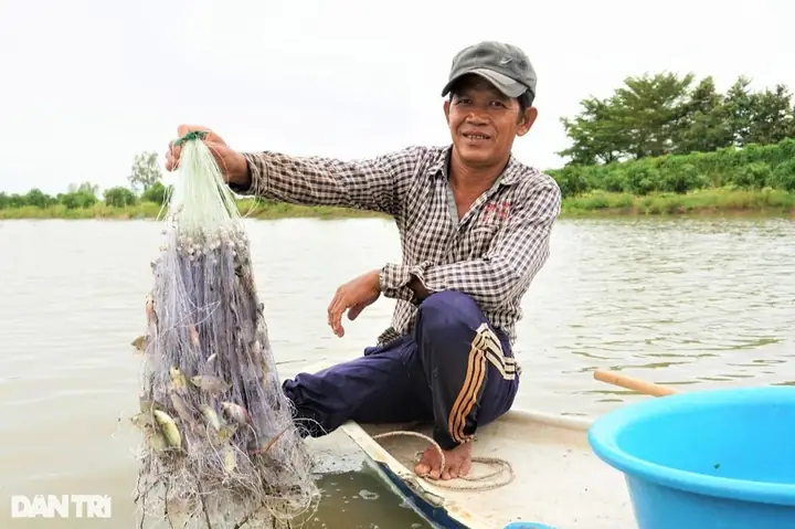 Cách Giăng Lưới Bắt Cá Miền Tây Chi Tiết: Hướng Dẫn Từng Bước Cho Người Mới