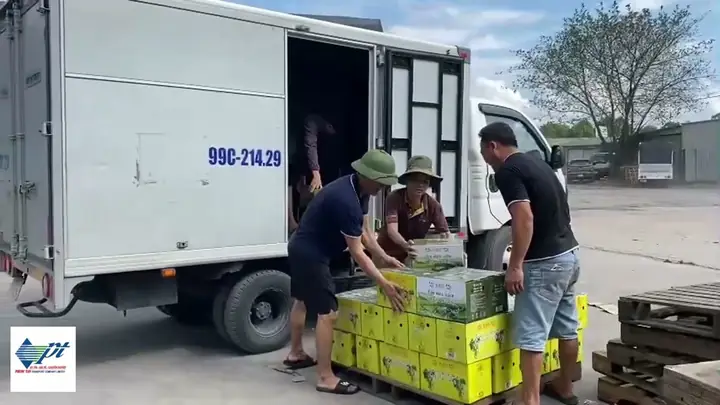 Tổng Hợp Các Dịch Vụ Và Đơn Vị Giao Hàng Tại Kiên Giang Uy Tín, Nhanh Chóng Tổng Hợp Các Dịch Vụ Và Đơn Vị Giao Hàng Tại Kiên Giang Uy Tín, Nhanh Chóng