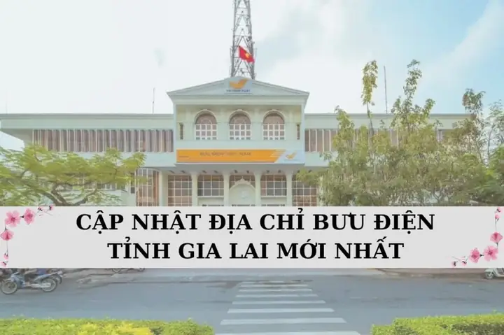 Tổng Hợp Danh Sách Bưu Cục Giao Hàng Nhanh (ghn) Tại Gia Lai Mới Nhất Tổng Hợp Danh Sách Bưu Cục Giao Hàng Nhanh (ghn) Tại Gia Lai Mới Nhất