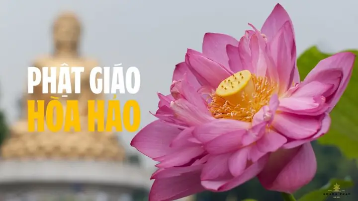 Giao Hoà Nghĩa Là Gì? Giải Mã Ý Nghĩa Từ Ngữ Và Thông Tin Về Địa Danh Giao Hoà Giao Hoà Nghĩa Là Gì? Giải Mã Ý Nghĩa Từ Ngữ Và Thông Tin Về Địa Danh Giao Hoà