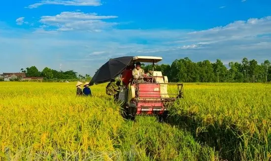 Hạn Điền Là Gì? Giải Mã Chính Sách Hạn Mức Đất Nông Nghiệp Và Lịch Sử Áp Dụng Hạn Điền Là Gì? Giải Mã Chính Sách Hạn Mức Đất Nông Nghiệp Và Lịch Sử Áp Dụng