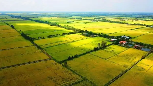 Hạn Điền Là Gì? Giải Mã Chính Sách Hạn Mức Đất Nông Nghiệp Và Lịch Sử Áp Dụng Hạn Điền Là Gì? Giải Mã Chính Sách Hạn Mức Đất Nông Nghiệp Và Lịch Sử Áp Dụng