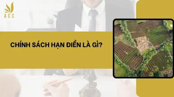 Hạn Điền Là Gì? Giải Mã Chính Sách Hạn Mức Đất Nông Nghiệp Và Lịch Sử Áp Dụng Hạn Điền Là Gì? Giải Mã Chính Sách Hạn Mức Đất Nông Nghiệp Và Lịch Sử Áp Dụng