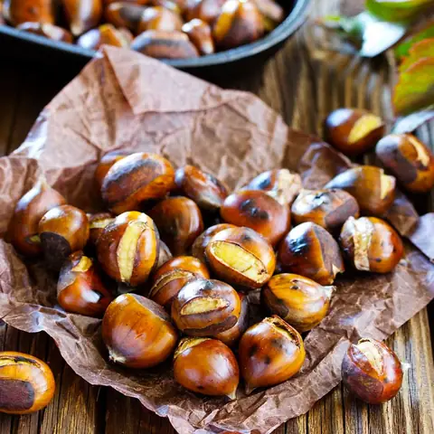 Hạt Dẻ Trùng Khánh Ở Đâu? Địa Điểm Mua, Mùa Thu Hoạch Và Cách Thưởng Thức Hạt Dẻ Trùng Khánh Ở Đâu? Địa Điểm Mua, Mùa Thu Hoạch Và Cách Thưởng Thức