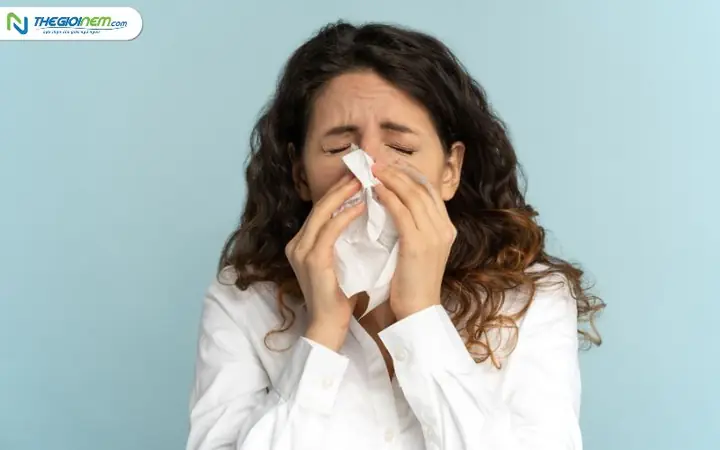 Hắt Xì 1 Cái La Điềm Gì Hắt Xì 1 Cái La Điềm Gì