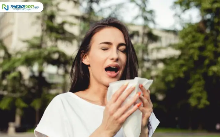 Hắt Xì 1 Cái La Điềm Gì Hắt Xì 1 Cái La Điềm Gì