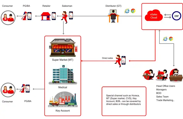 Hệ Thống Phân Phối Là Gì? 7 Bước Xây Dựng Hệ Thống Phân Phối Hiệu Quả Cho Doanh Nghiệp