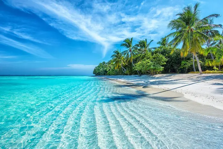 Thư Viện 100+ Ảnh Đẹp Bãi Biển Nha Trang – Cẩm Nang Chụp Và Tải Miễn Phí Thư Viện 100+ Ảnh Đẹp Bãi Biển Nha Trang – Cẩm Nang Chụp Và Tải Miễn Phí