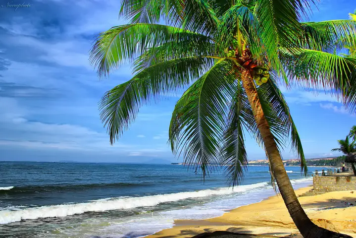 Thư Viện 100+ Ảnh Đẹp Bãi Biển Nha Trang – Cẩm Nang Chụp Và Tải Miễn Phí Thư Viện 100+ Ảnh Đẹp Bãi Biển Nha Trang – Cẩm Nang Chụp Và Tải Miễn Phí