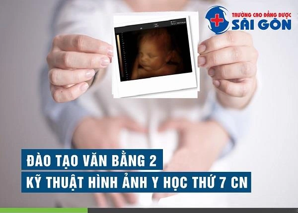 100+ Hình Ảnh Bằng Cấp 2 2026 Full Hd – Tải Ngay, Đủ Định Dạng? 100+ Hình Ảnh Bằng Cấp 2 2026 Full Hd – Tải Ngay, Đủ Định Dạng?