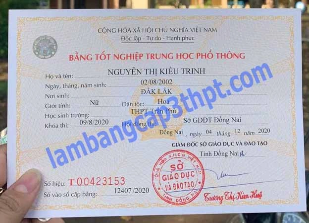 Hình Ảnh Bằng Cấp 3 Năm 2008: Tất Cả Những Điều Bạn Cần Biết (hướng Dẫn Cho Người Tìm Kiếm Thông Tin Chính Xác)