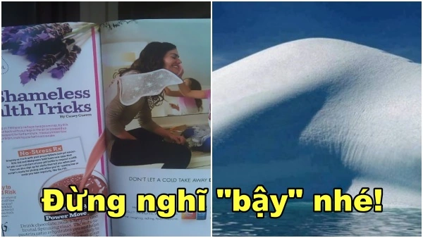 Hình Ảnh Bậy: Bộ Sưu Tập Meme Chửi Độc Đáo, Thư Giãn Stress Dành Cho Giới Trẻ (2026)