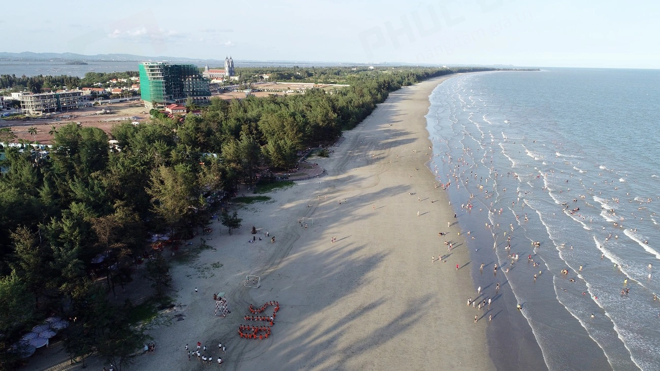 100+ Hình Ảnh Biển Trà Cổ Đẹp Nhất 2026 – Bộ Sưu Tập Độc Đáo Cho Mọi Nhu Cầu