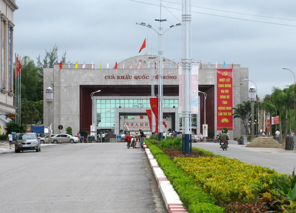 100+ Hình Ảnh Biển Trà Cổ Đẹp Nhất 2026 – Bộ Sưu Tập Độc Đáo Cho Mọi Nhu Cầu