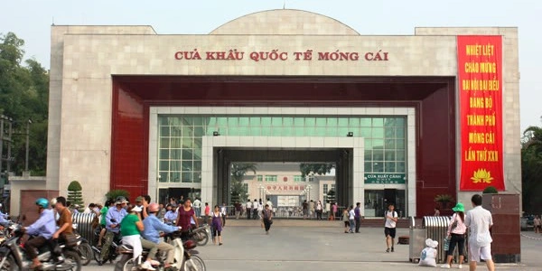 100+ Hình Ảnh Biển Trà Cổ Đẹp Nhất 2026 – Bộ Sưu Tập Độc Đáo Cho Mọi Nhu Cầu