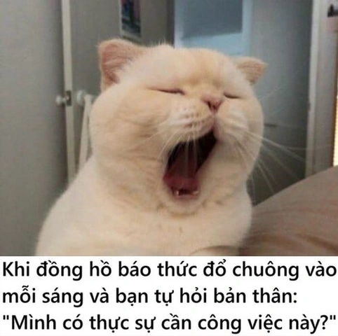 100+ Hình Ảnh Buồn Ngủ Đáng Yêu 2026 - Bộ Sưu Tập Độc Đáo Cho Bạn 100+ Hình Ảnh Buồn Ngủ Đáng Yêu 2026 - Bộ Sưu Tập Độc Đáo Cho Bạn
