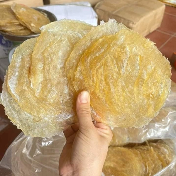 100+ Hình Ảnh Cá Bò Da Đẹp 2026 – Bộ Sưu Tập Đầy Đủ Cho Mọi Nhu Cầu? 100+ Hình Ảnh Cá Bò Da Đẹp 2026 – Bộ Sưu Tập Đầy Đủ Cho Mọi Nhu Cầu?