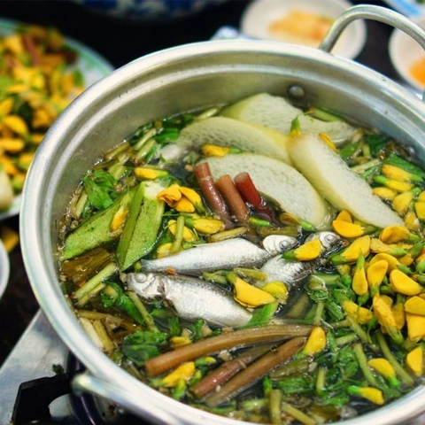 Xem Ngay Hình Ảnh Cá Linh Bông Điên Điển Đậm Đà – Hướng Dẫn Chọn, Chụp & Sưu Tầm Cho Người Yêu Ẩm Thực Miền Tây Xem Ngay Hình Ảnh Cá Linh Bông Điên Điển Đậm Đà – Hướng Dẫn Chọn, Chụp & Sưu Tầm Cho Người Yêu Ẩm Thực Miền Tây