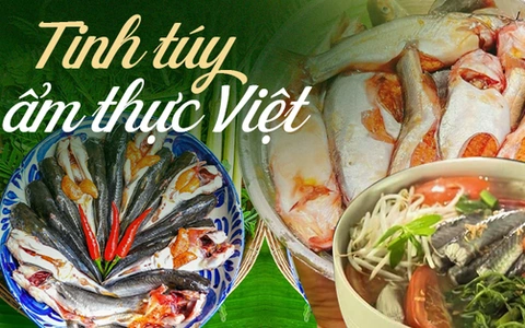 Xem Ngay Hình Ảnh Cá Linh Bông Điên Điển Đậm Đà – Hướng Dẫn Chọn, Chụp & Sưu Tầm Cho Người Yêu Ẩm Thực Miền Tây Xem Ngay Hình Ảnh Cá Linh Bông Điên Điển Đậm Đà – Hướng Dẫn Chọn, Chụp & Sưu Tầm Cho Người Yêu Ẩm Thực Miền Tây