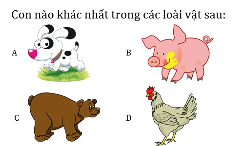 100+ Hình Ảnh Các Câu Đố Vui 2026 – Bạn Đã Sẵn Sàng Thử Thách? 100+ Hình Ảnh Các Câu Đố Vui 2026 – Bạn Đã Sẵn Sàng Thử Thách?