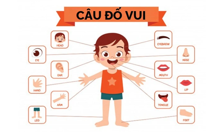 100+ Hình Ảnh Các Câu Đố Vui 2026 – Bạn Đã Sẵn Sàng Thử Thách? 100+ Hình Ảnh Các Câu Đố Vui 2026 – Bạn Đã Sẵn Sàng Thử Thách?