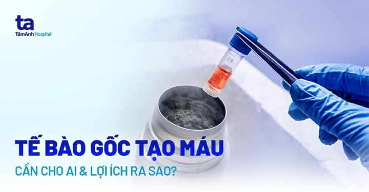 100+ Hình Ảnh Các Tế Bào Máu Đầy Màu Sắc & Độ Phân Giải Cao 2026 – Bạn Đã Sẵn Sàng Thấy Mọi Chi Tiết Nhỏ Nhặt?