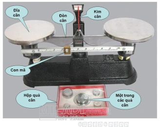 100+ Hình Ảnh Cái Cân Đĩa Đẹp Nhất 2026 – Bộ Sưu Tập Độc Quyền, 100+ Mẫu Cân Đĩa Đầy Đủ Phong Cách Cho Mọi Nhu Cầu