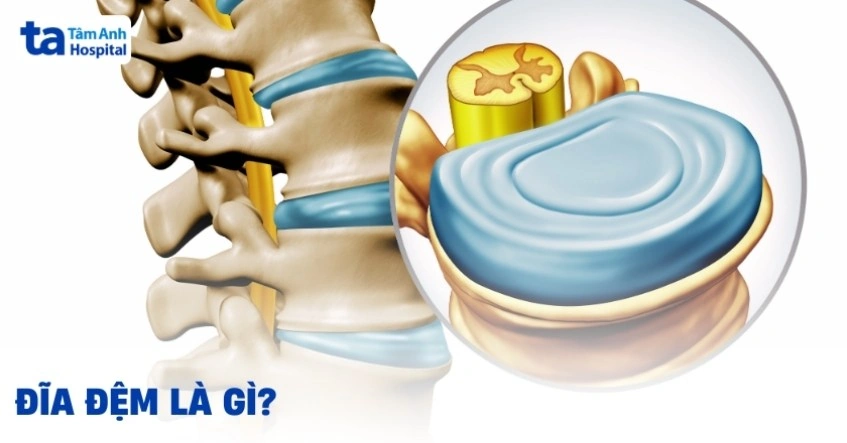 100+ Hình Ảnh Cái Cân Đĩa Đẹp Nhất 2026 – Bộ Sưu Tập Độc Quyền, 100+ Mẫu Cân Đĩa Đầy Đủ Phong Cách Cho Mọi Nhu Cầu