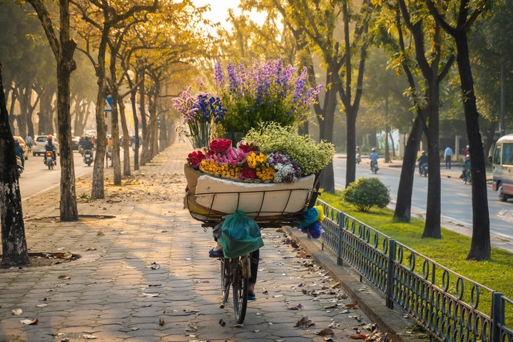 100+ Hình Ảnh Cảnh Đẹp Hà Nội 2026 – Bộ Sưu Tập Đẹp Nhất