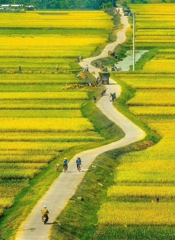 100+ Hình Ảnh Cánh Diều Quê Hương 2026 – Bộ Sưu Tập Độc Đáo, Sáng Tạo & Đầy Cảm Hứng