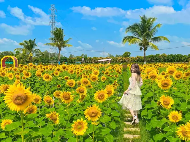 Tải Ngay Những Ảnh Cánh Đồng Hoa Đẹp Nhất: Nguồn Miễn Phí, Cách Chọn Và Địa Điểm Chụp Tuyệt Vời Tải Ngay Những Ảnh Cánh Đồng Hoa Đẹp Nhất: Nguồn Miễn Phí, Cách Chọn Và Địa Điểm Chụp Tuyệt Vời