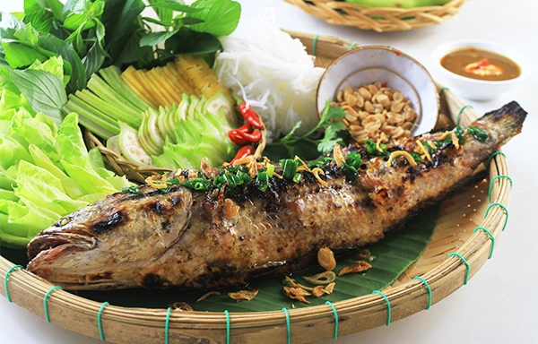 100+ Hình Ảnh Câu Cá Lóc 4k Đẹp Nhất 2026, Bộ Sưu Tập Độc Quyền, Sẵn Sàng Tải Miễn Phí 100+ Hình Ảnh Câu Cá Lóc 4k Đẹp Nhất 2026, Bộ Sưu Tập Độc Quyền, Sẵn Sàng Tải Miễn Phí