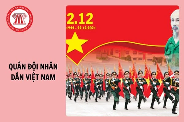 100+ Hình Ảnh Câu Hỏi Trắc Nghiệm 2026 Đầy Đủ, Sẵn Sàng Tải Miễn Phí 100+ Hình Ảnh Câu Hỏi Trắc Nghiệm 2026 Đầy Đủ, Sẵn Sàng Tải Miễn Phí