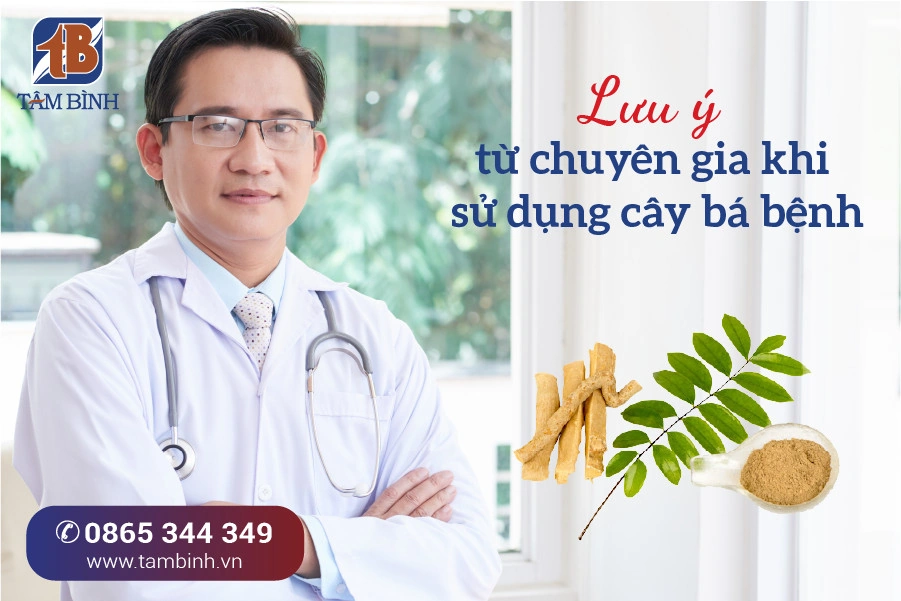 100+ Hình Ảnh Cây Bách Bệnh Full Hd 2026 – Bộ Sưu Tập Đầy Đủ Các Tư Cảnh Đẹp Nhất, 100+ Ảnh Cây Bách Bệnh Độc Đáo Để Tải Miễn Phí, 100+ Hình Ảnh Cây Bách Bệnh Sáng Tạo Dành Cho Hình Nền Và Avatar
