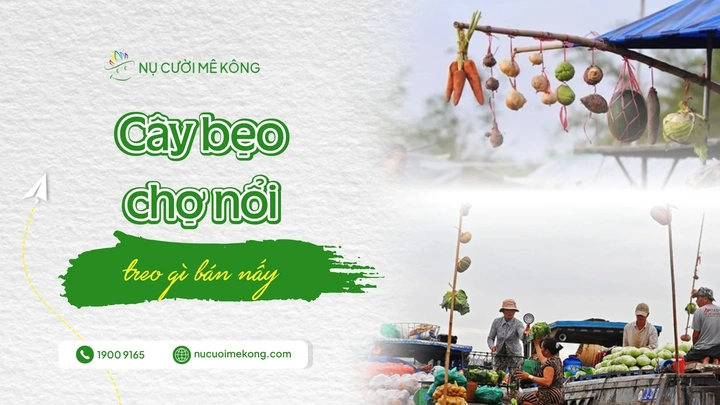100+ Hình Ảnh Cây Bèo Nhật Bản 2026 – Bạn Đã Xem Đủ Chưa? 100+ Hình Ảnh Cây Bèo Nhật Bản 2026 – Bạn Đã Xem Đủ Chưa?