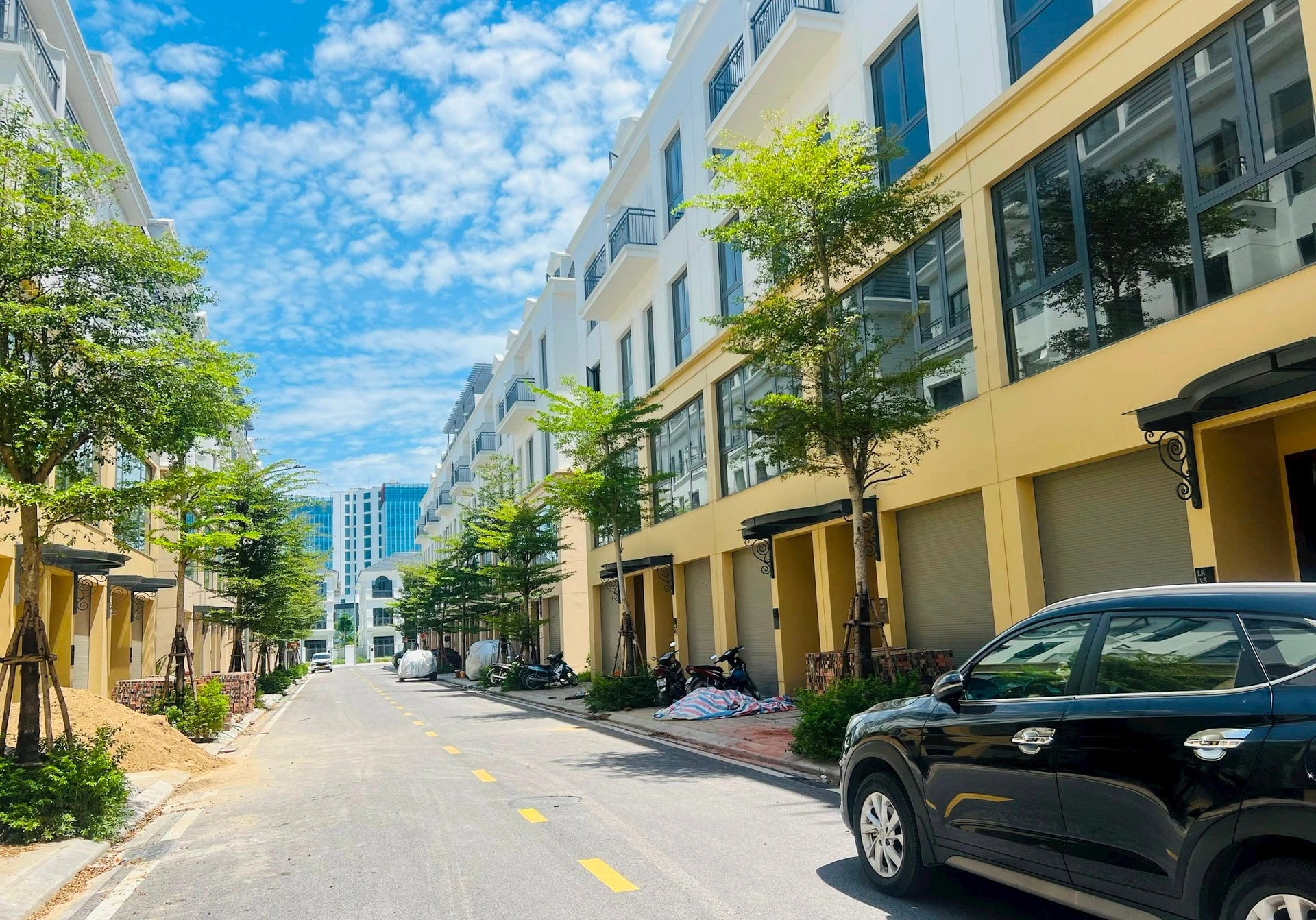 100+ Hình Ảnh Cây Chu Sa 2026 - Bộ Sưu Tập Đẹp Nhất, Đầy Sắc Màu, Sẵn Sàng Tải Về