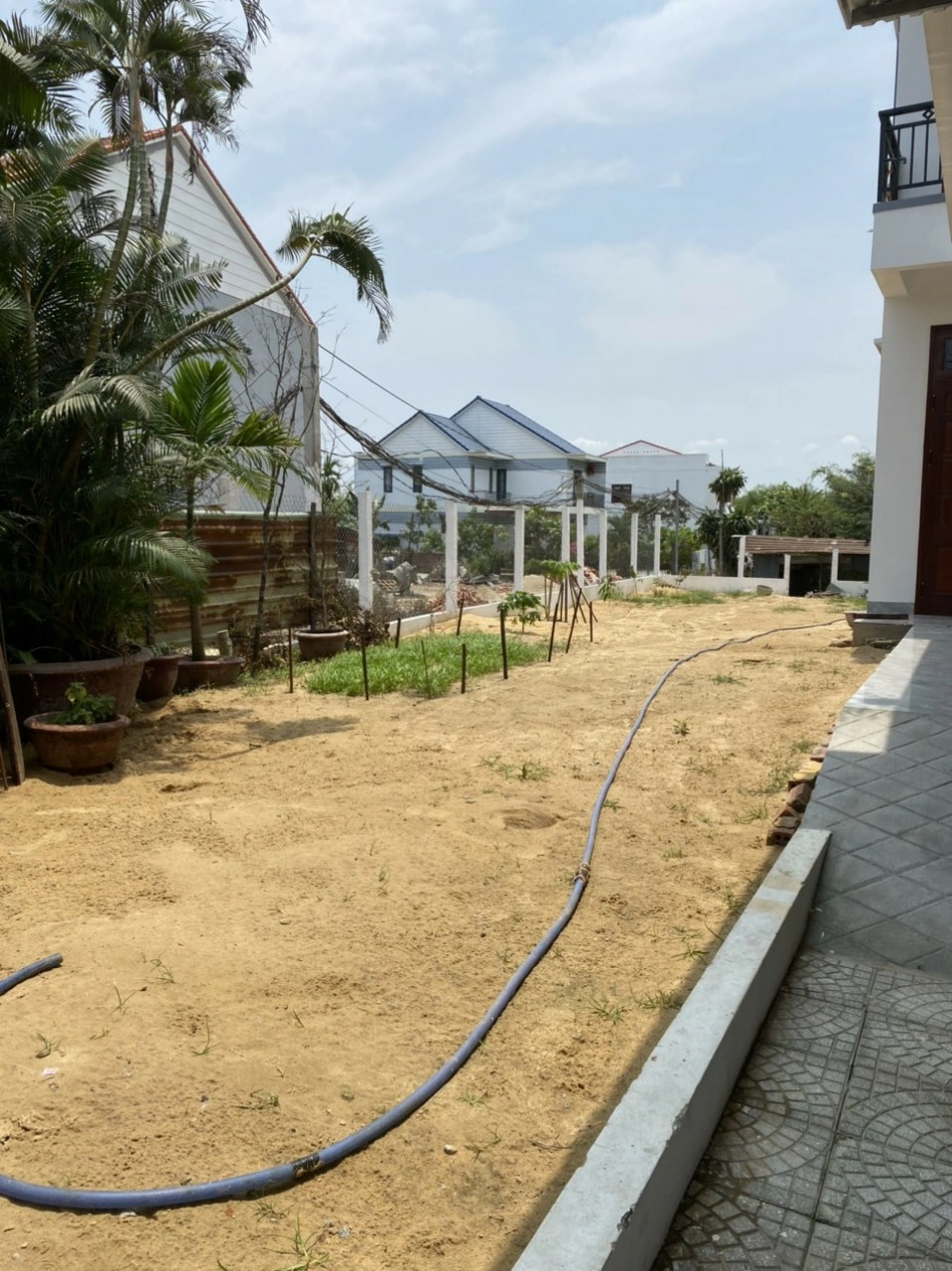100+ Hình Ảnh Cây Cỏ Gừng 2026 – Bộ Sưu Tập Đẹp Nhất Cho Bạn? 100+ Hình Ảnh Cây Cỏ Gừng 2026 – Bộ Sưu Tập Đẹp Nhất Cho Bạn?