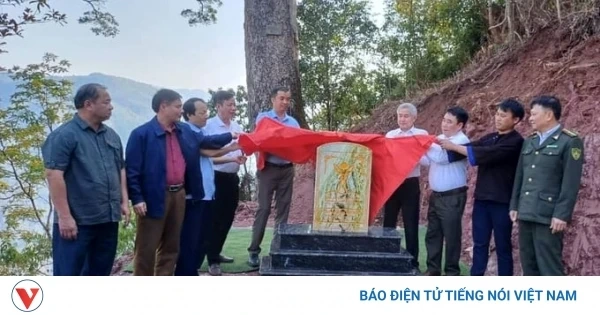 100+ Hình Ảnh Cây Dù Sam 2026 Đẹp Nhất, Siêu Hd, Tải Miễn Phí 100+ Hình Ảnh Cây Dù Sam 2026 Đẹp Nhất, Siêu Hd, Tải Miễn Phí