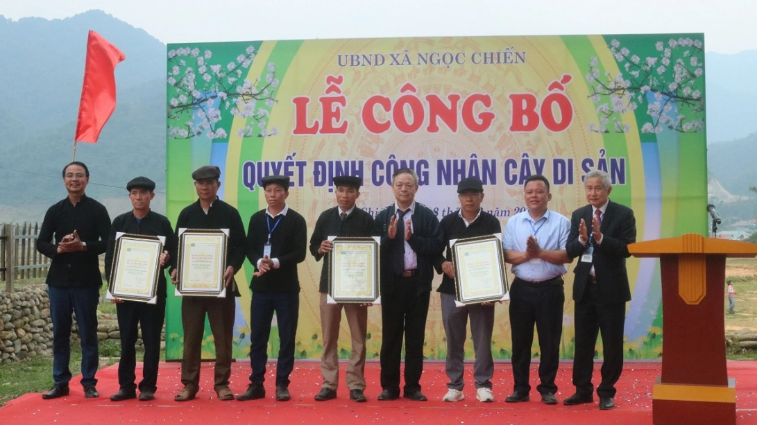 100+ Hình Ảnh Cây Dù Sam 2026 Đẹp Nhất, Siêu Hd, Tải Miễn Phí 100+ Hình Ảnh Cây Dù Sam 2026 Đẹp Nhất, Siêu Hd, Tải Miễn Phí
