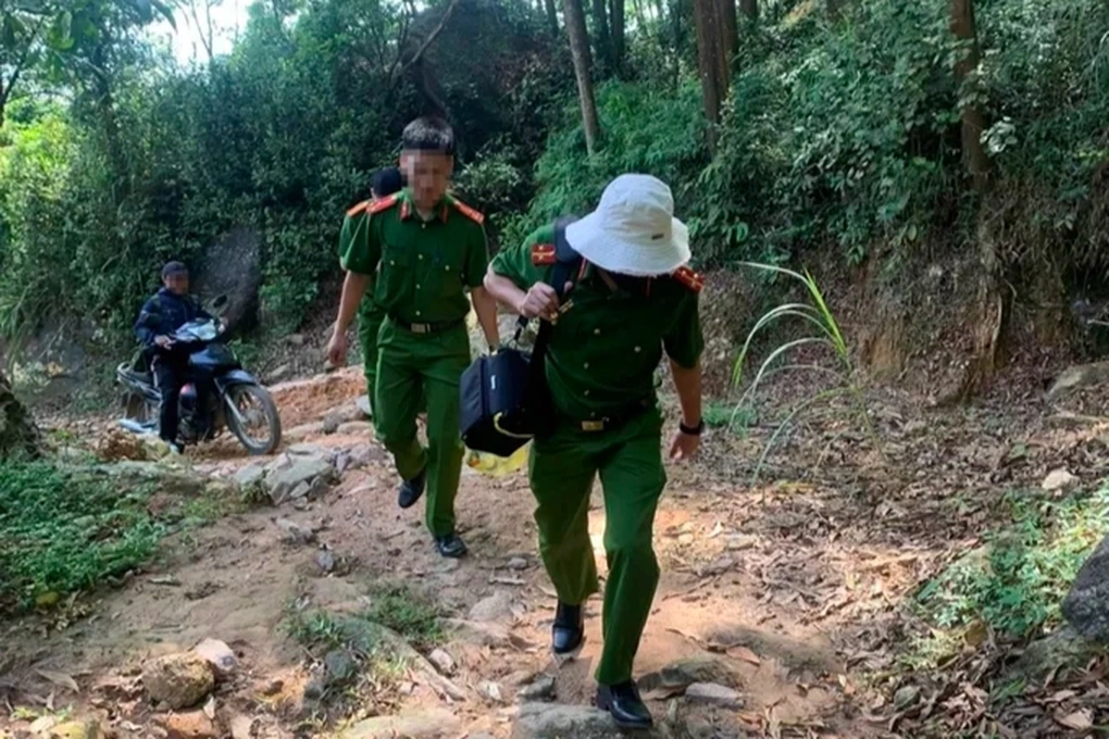100+ Hình Ảnh Cây Dù Sam 2026 Đẹp Nhất, Siêu Hd, Tải Miễn Phí 100+ Hình Ảnh Cây Dù Sam 2026 Đẹp Nhất, Siêu Hd, Tải Miễn Phí