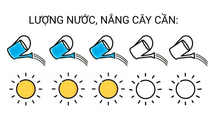 100+ Hình Ảnh Cây Gạc Nai 2026 Đẹp Nhất, Đầy Màu Sắc & Chất Lượng Cao 100+ Hình Ảnh Cây Gạc Nai 2026 Đẹp Nhất, Đầy Màu Sắc & Chất Lượng Cao