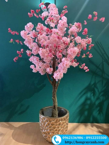 Tải Ngay Hình Ảnh Cây Hoa Anh Đào Giả Đẹp Nhất 2026 – Bộ Sưu Tập Truyền Cảm Hứng Cho Không Gian Nội Thất Tải Ngay Hình Ảnh Cây Hoa Anh Đào Giả Đẹp Nhất 2026 – Bộ Sưu Tập Truyền Cảm Hứng Cho Không Gian Nội Thất