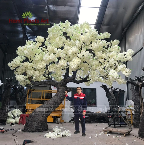 Tải Ngay Hình Ảnh Cây Hoa Anh Đào Giả Đẹp Nhất 2026 – Bộ Sưu Tập Truyền Cảm Hứng Cho Không Gian Nội Thất Tải Ngay Hình Ảnh Cây Hoa Anh Đào Giả Đẹp Nhất 2026 – Bộ Sưu Tập Truyền Cảm Hứng Cho Không Gian Nội Thất