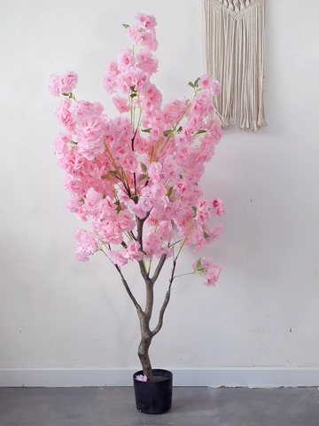 Tải Ngay Hình Ảnh Cây Hoa Anh Đào Giả Đẹp Nhất 2026 – Bộ Sưu Tập Truyền Cảm Hứng Cho Không Gian Nội Thất Tải Ngay Hình Ảnh Cây Hoa Anh Đào Giả Đẹp Nhất 2026 – Bộ Sưu Tập Truyền Cảm Hứng Cho Không Gian Nội Thất