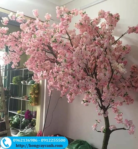 Tải Ngay Hình Ảnh Cây Hoa Anh Đào Giả Đẹp Nhất 2026 – Bộ Sưu Tập Truyền Cảm Hứng Cho Không Gian Nội Thất Tải Ngay Hình Ảnh Cây Hoa Anh Đào Giả Đẹp Nhất 2026 – Bộ Sưu Tập Truyền Cảm Hứng Cho Không Gian Nội Thất