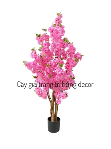 Tải Ngay Hình Ảnh Cây Hoa Anh Đào Giả Đẹp Nhất 2026 – Bộ Sưu Tập Truyền Cảm Hứng Cho Không Gian Nội Thất Tải Ngay Hình Ảnh Cây Hoa Anh Đào Giả Đẹp Nhất 2026 – Bộ Sưu Tập Truyền Cảm Hứng Cho Không Gian Nội Thất