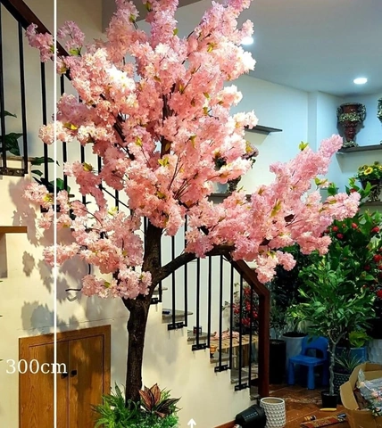 Tải Ngay Hình Ảnh Cây Hoa Anh Đào Giả Đẹp Nhất 2026 – Bộ Sưu Tập Truyền Cảm Hứng Cho Không Gian Nội Thất Tải Ngay Hình Ảnh Cây Hoa Anh Đào Giả Đẹp Nhất 2026 – Bộ Sưu Tập Truyền Cảm Hứng Cho Không Gian Nội Thất