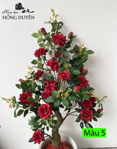 100+ Hình Ảnh Cây Hoa Hồng Rừng Đẹp Nhất 2026, Độ Phân Giải Cao 100+ Hình Ảnh Cây Hoa Hồng Rừng Đẹp Nhất 2026, Độ Phân Giải Cao
