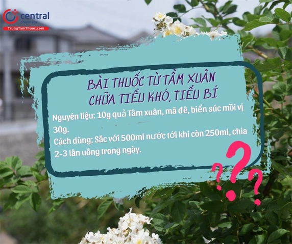 100+ Hình Ảnh Cây Hoa Tầm Xuân 2026 Đẹp Nhất, Đầy Màu Sắc, Sử Dụng Cho Wallpaper & Avatar 100+ Hình Ảnh Cây Hoa Tầm Xuân 2026 Đẹp Nhất, Đầy Màu Sắc, Sử Dụng Cho Wallpaper & Avatar