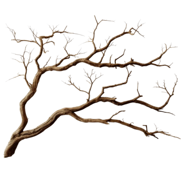 100+ Hình Ảnh Cây Khô Đẹp 2026 – Bộ Sưu Tập Wallpaper, Avatar, Đồ Hoạ Sáng Tạo 100+ Hình Ảnh Cây Khô Đẹp 2026 – Bộ Sưu Tập Wallpaper, Avatar, Đồ Hoạ Sáng Tạo